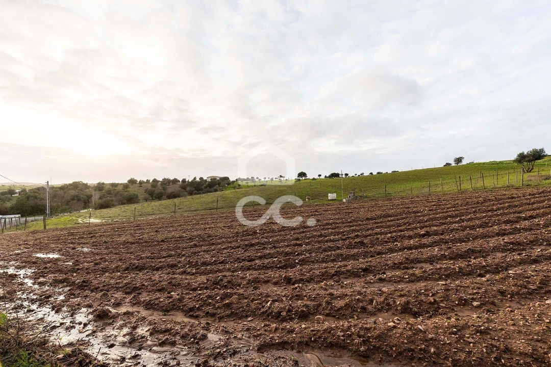 Quinta T5 para Venda em Nossa Senhora de Machede Foto 55