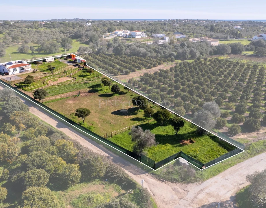 Quinta T2 para Venda em Olhão Foto 21