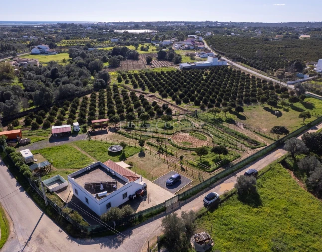 Quinta T2 para Venda em Olhão Foto 24