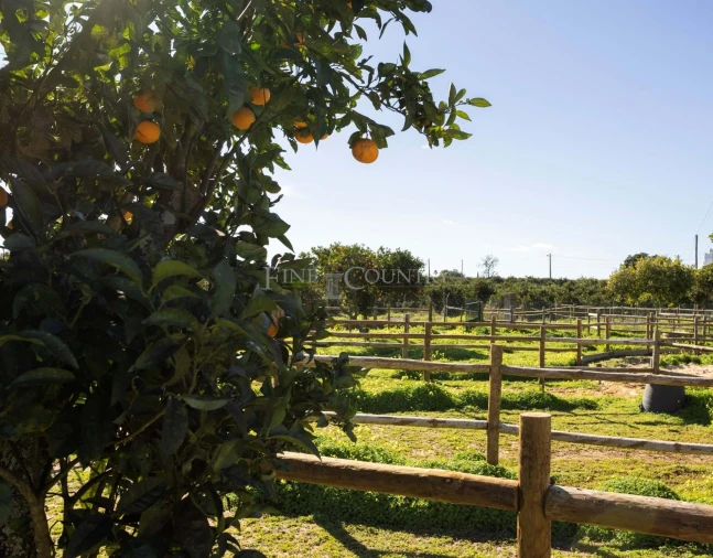 Quinta T2 para Venda em Olhão Foto 15