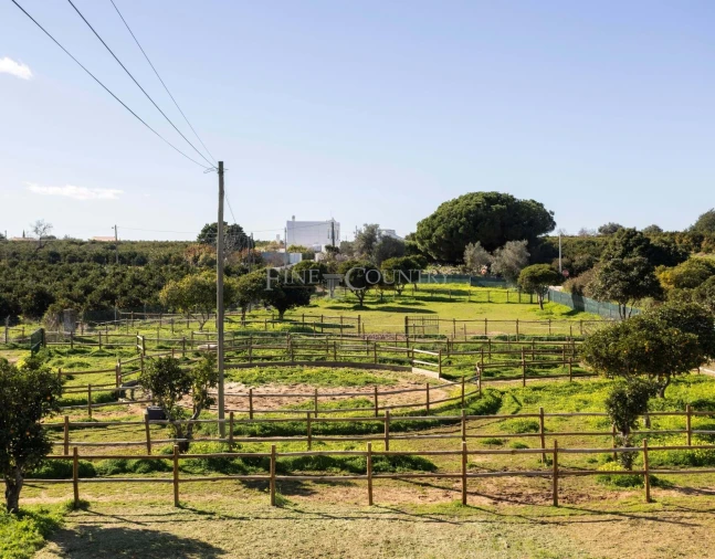 Quinta T2 para Venda em Olhão Foto 18