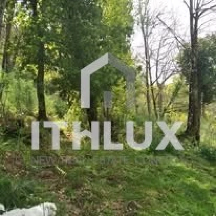 Quinta T3 para Venda em Fornelos Foto 8