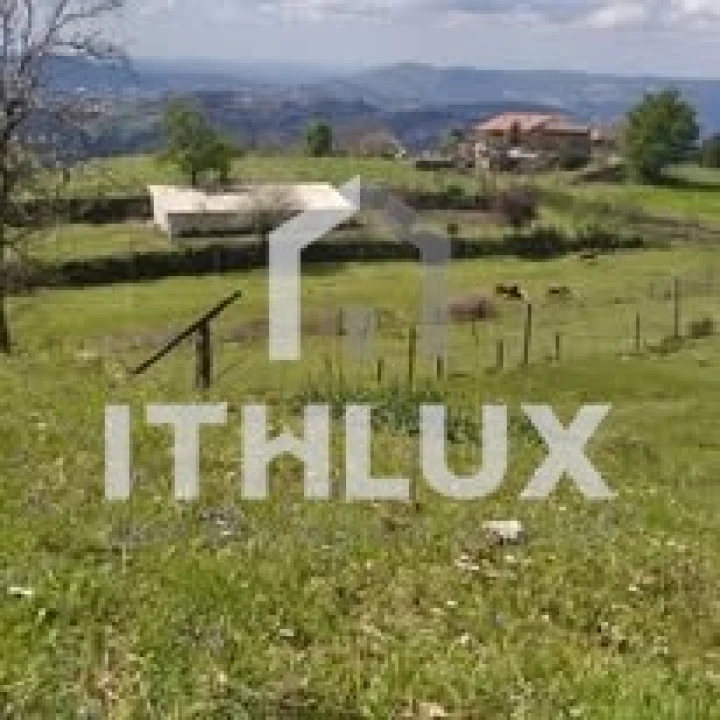 Quinta T3 para Venda em Fornelos Foto 5