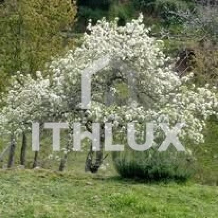 Quinta T3 para Venda em Fornelos Foto 24