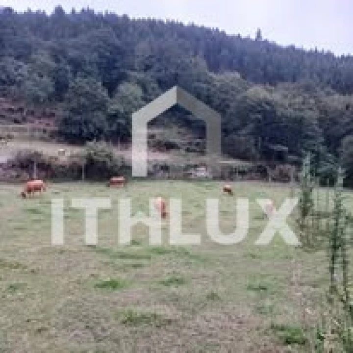 Quinta T3 para Venda em Fornelos Foto 21