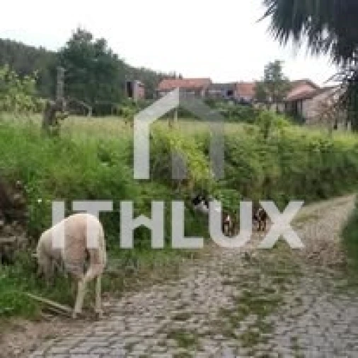 Quinta T3 para Venda em Fornelos Foto 10