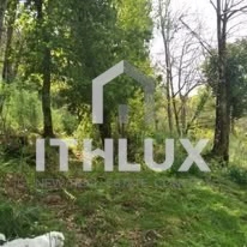 Quinta T3 para Venda em Fornelos Foto 8