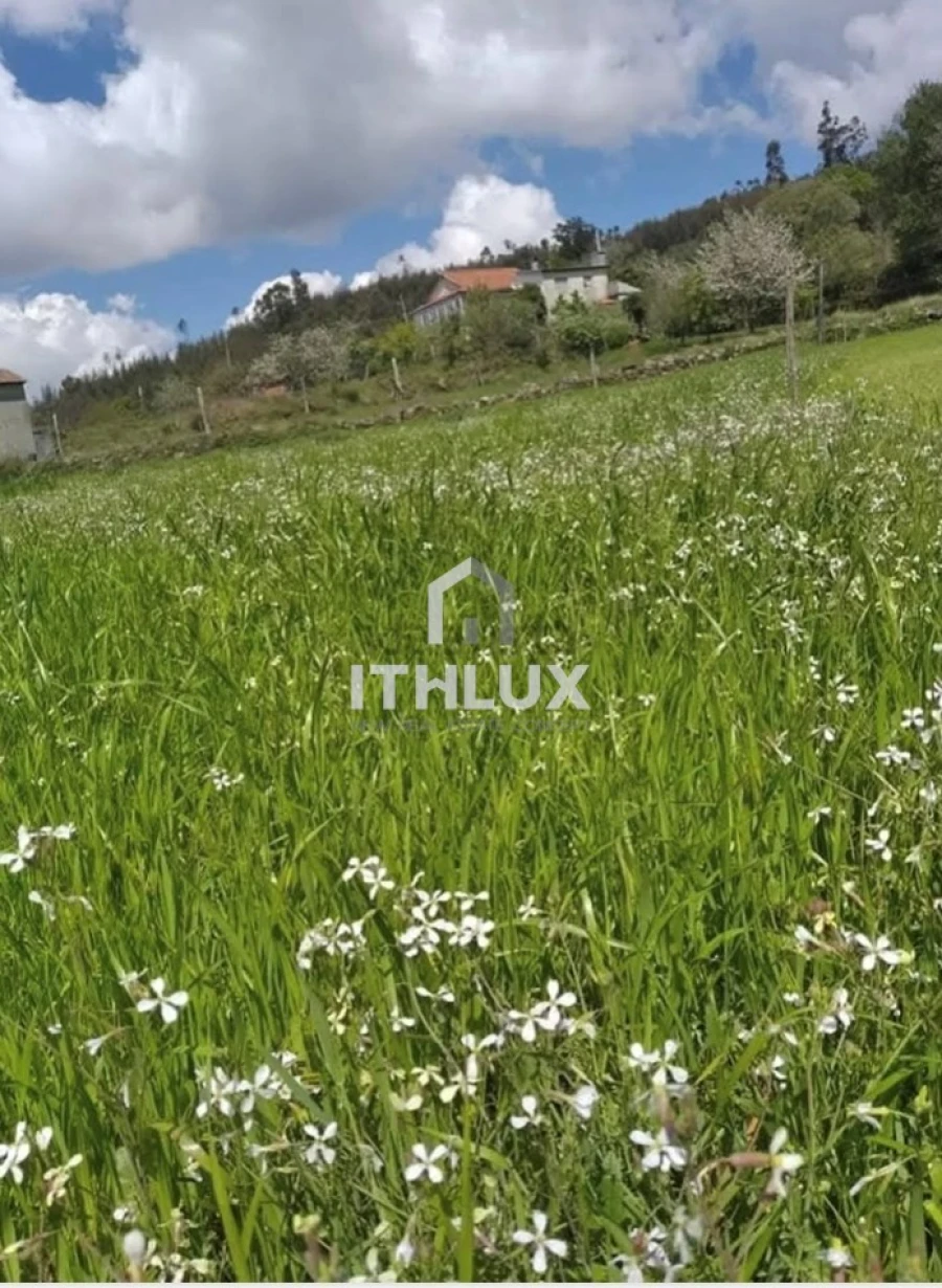 Quinta T3 para Venda em Fornelos Foto 19