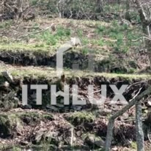 Quinta T3 para Venda em Fornelos Foto 16