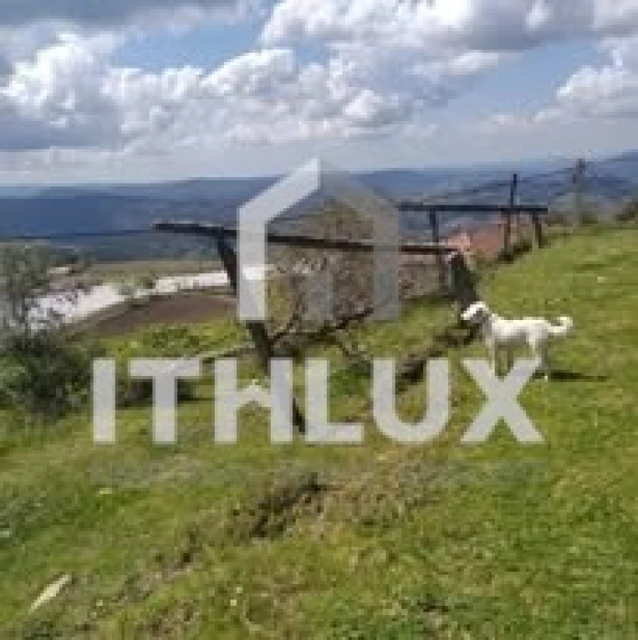 Quinta T3 para Venda em Fornelos Foto 12