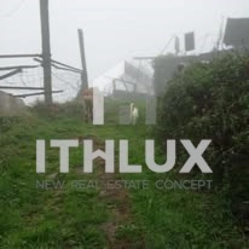 Quinta T3 para Venda em Fornelos Foto 13