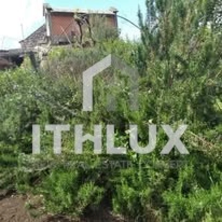 Quinta T3 para Venda em Fornelos Foto 7