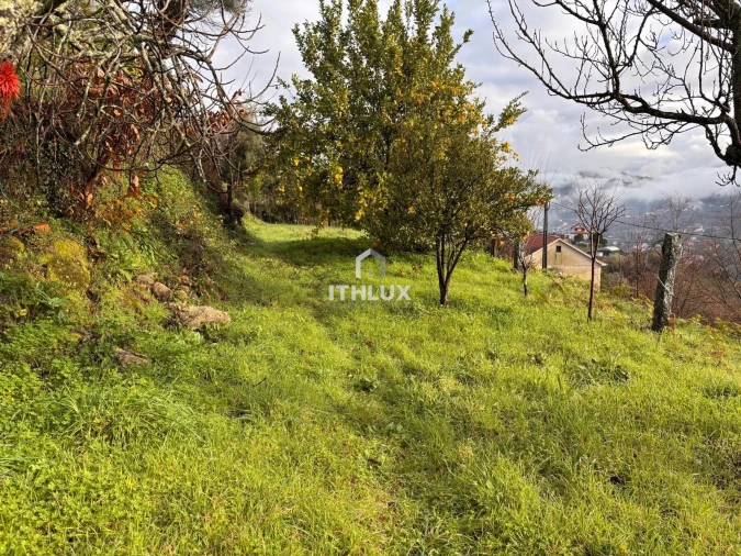 Moradia T4 para Venda em Crasto, Ruivos e Grovelas Foto 42