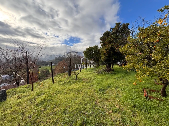 Moradia T4 para Venda em Crasto, Ruivos e Grovelas Foto 50