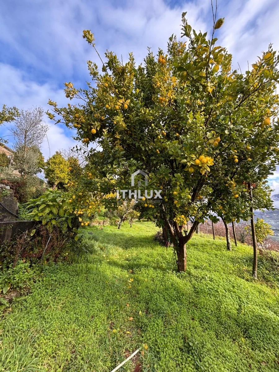 Moradia T4 para Venda em Crasto, Ruivos e Grovelas Foto 46