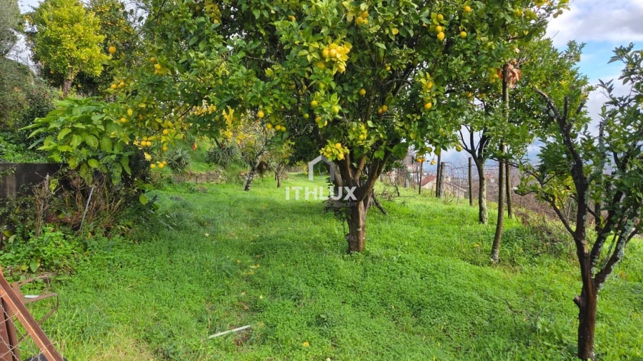 Moradia T4 para Venda em Crasto, Ruivos e Grovelas Foto 30