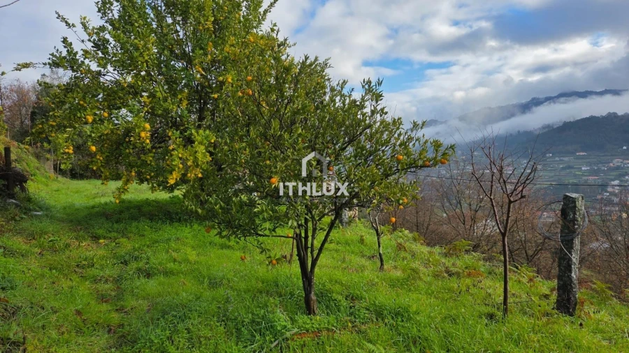 Moradia T4 para Venda em Crasto, Ruivos e Grovelas Foto 32