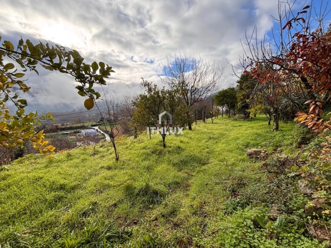 Moradia T4 para Venda em Crasto, Ruivos e Grovelas Foto 55