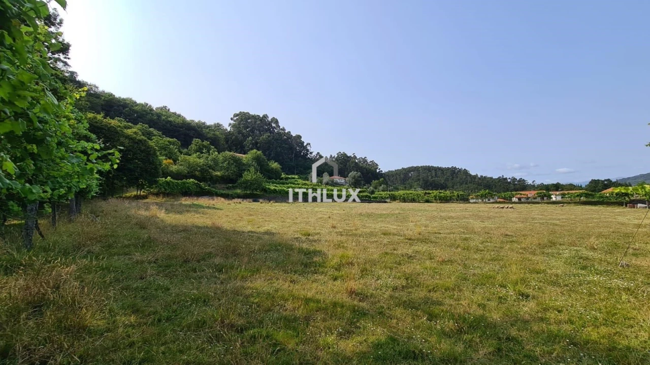 Terreno para Venda em Vade Foto 14