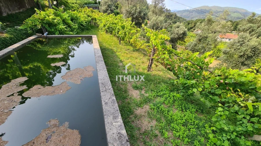Terreno para Venda em Vade Foto 15