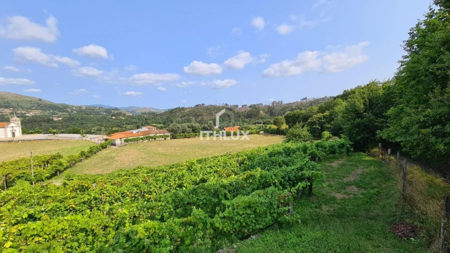 Terreno para Venda em Vade Foto 7