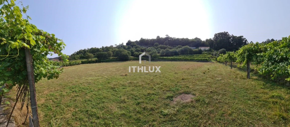 Terreno para Venda em Vade Foto 2