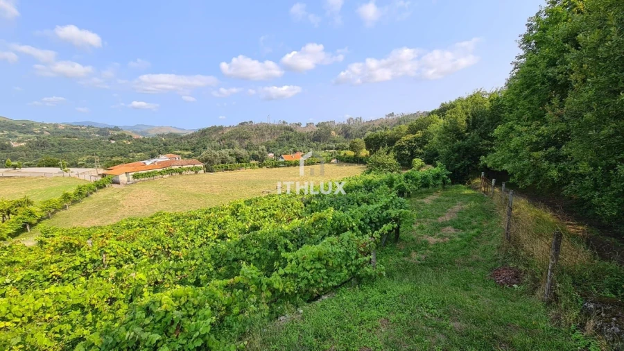 Terreno para Venda em Vade Foto 17