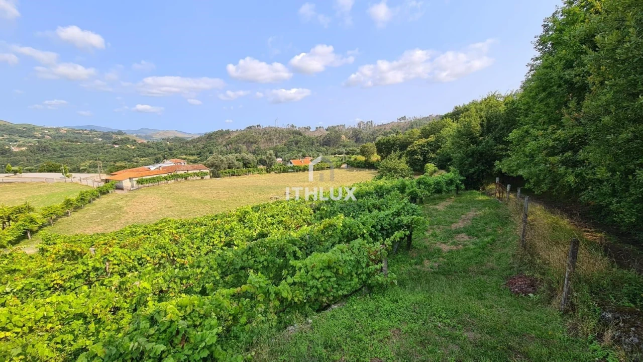 Terreno para Venda em Vade Foto 17