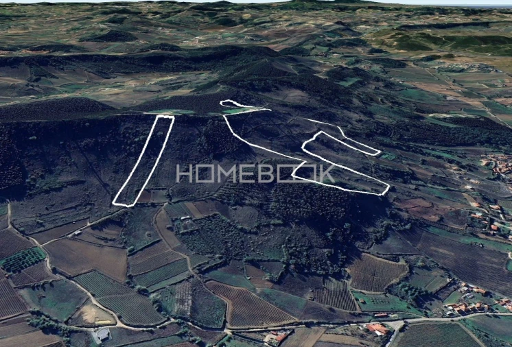 Terreno Agricola ou Rústico para Venda em Maxial e Monte Redondo