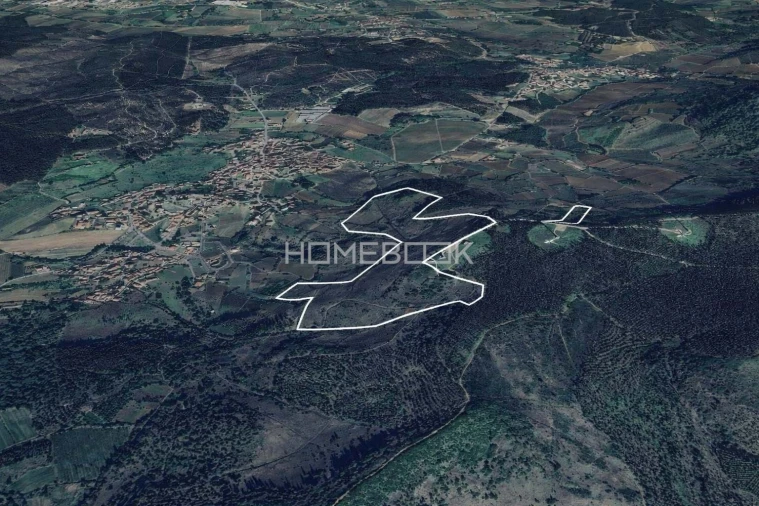 Terreno Agricola ou Rústico para Venda em Maxial e Monte Redondo Foto 3