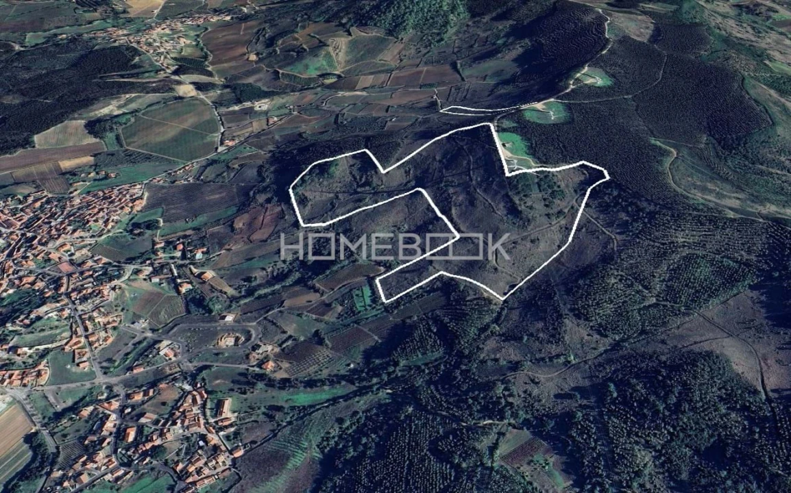 Terreno Agricola ou Rústico para Venda em Maxial e Monte Redondo Foto 2