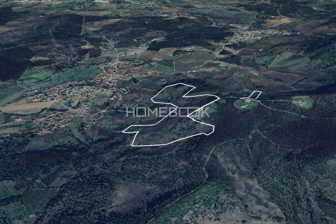 Terreno Agricola ou Rústico para Venda em Maxial e Monte Redondo Foto 3