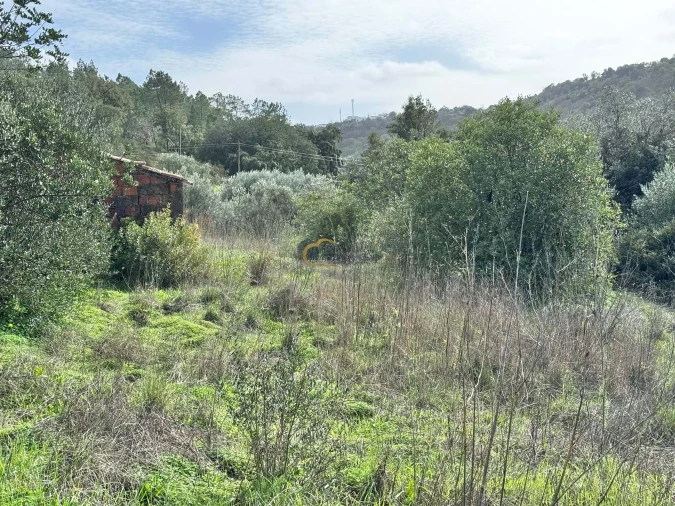 Terreno para Venda em Alte Foto 19