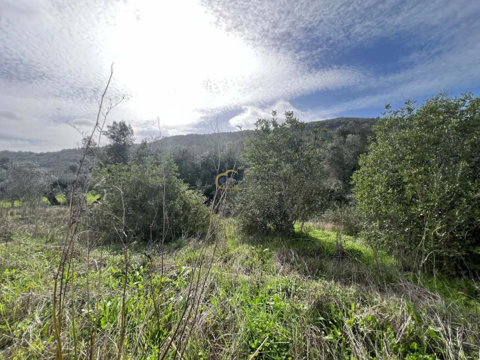Terreno para Venda em Alte Foto 15