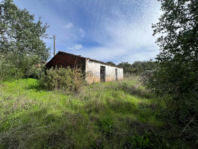 Terreno para Venda em Alte Foto 4