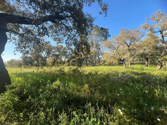 Terreno para Venda em Alte