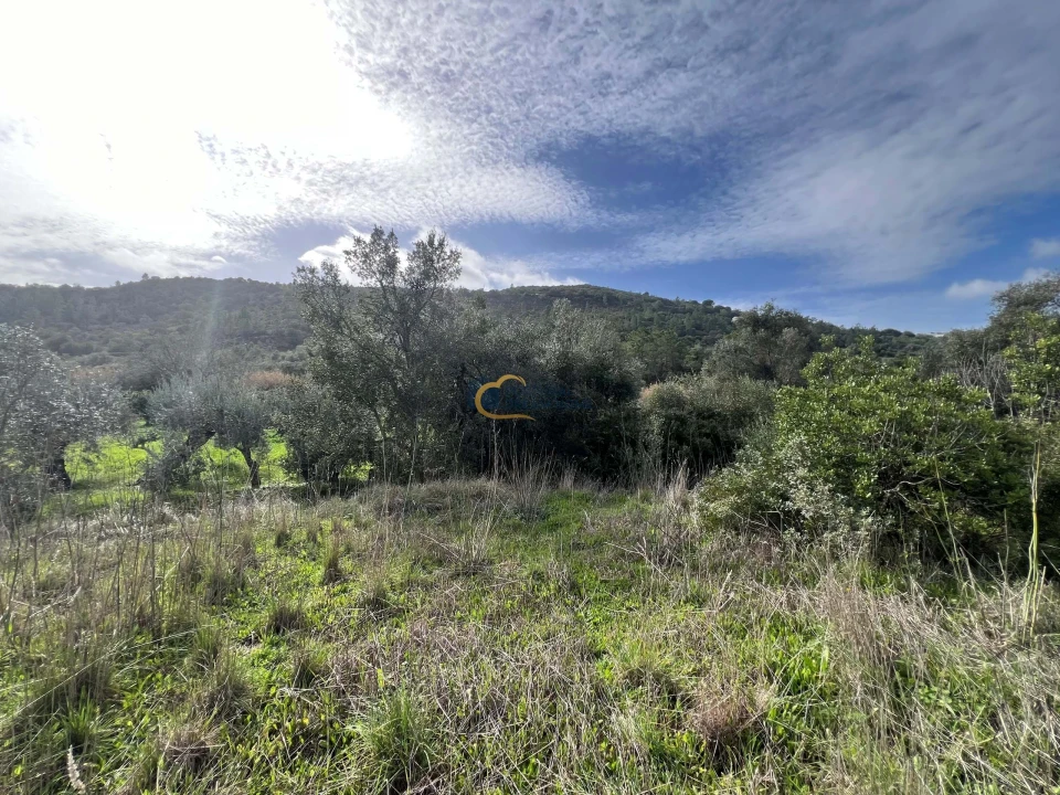 Terreno para Venda em Alte Foto 14