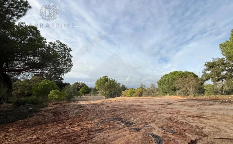 Terreno para Venda em Almancil Foto 12