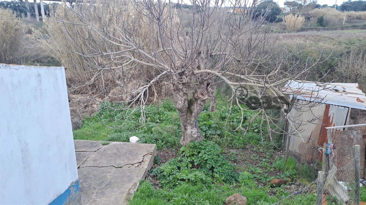 Moradia T1 para Venda em Figueira dos Cavaleiros Foto 32