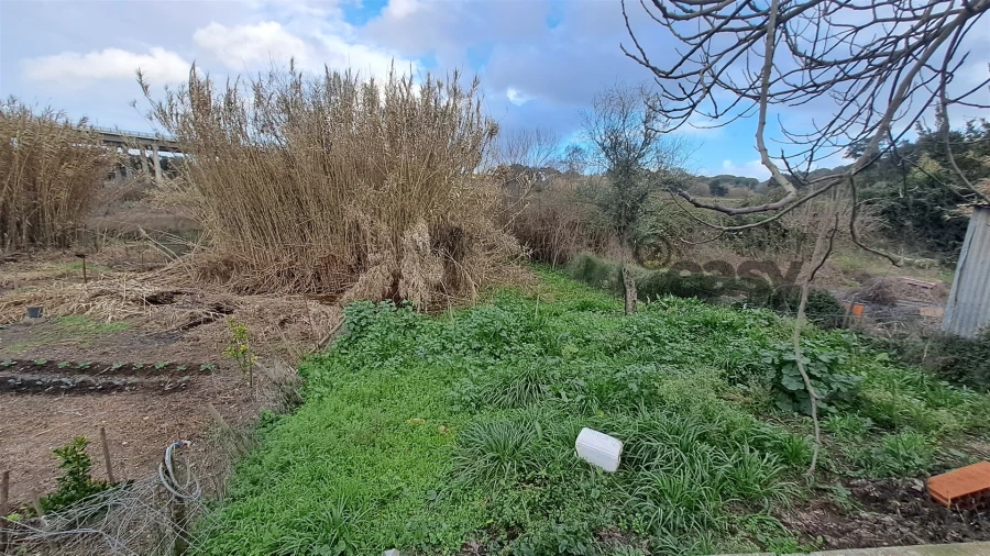 Moradia T1 para Venda em Figueira dos Cavaleiros Foto 34