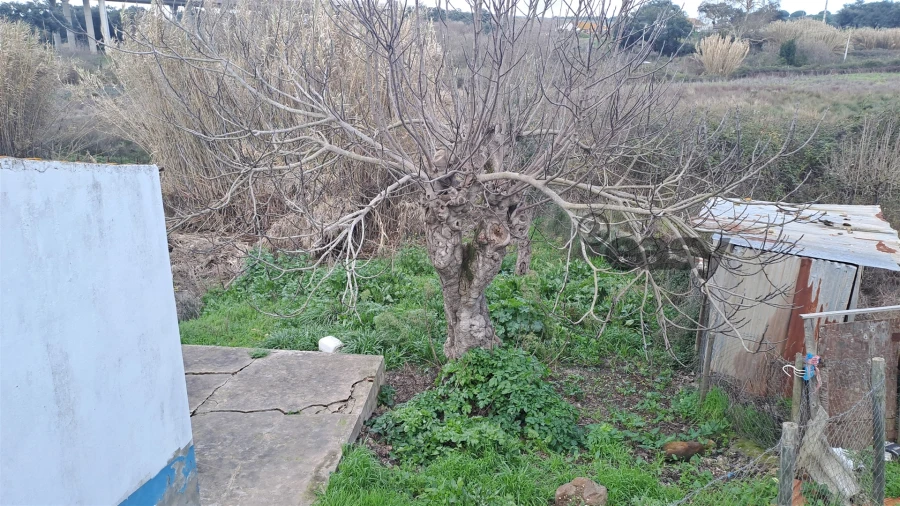 Moradia T1 para Venda em Figueira dos Cavaleiros Foto 32