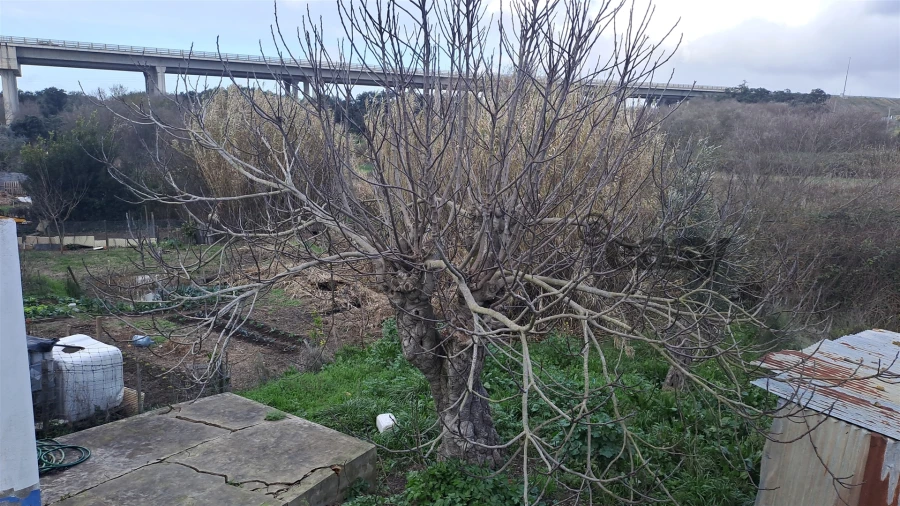 Moradia T1 para Venda em Figueira dos Cavaleiros Foto 33