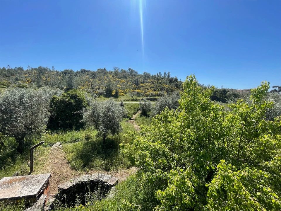 Moradia T3 para Venda em Vila Velha de Rodão Foto 109