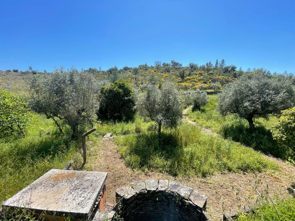 Moradia T3 para Venda em Vila Velha de Rodão Foto 92