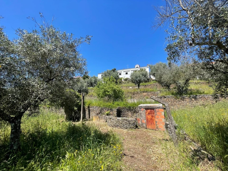Moradia T3 para Venda em Vila Velha de Rodão Foto 105