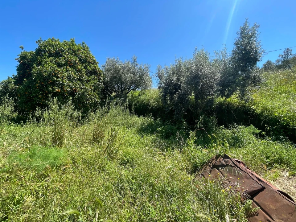 Moradia T3 para Venda em Vila Velha de Rodão Foto 87