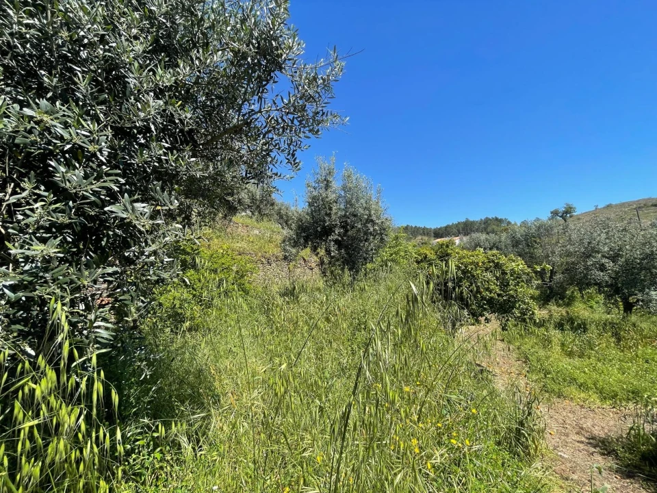Moradia T3 para Venda em Vila Velha de Rodão Foto 123