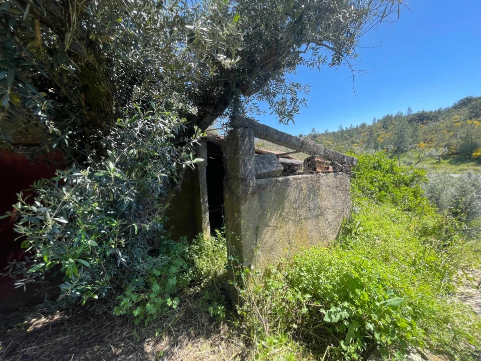 Moradia T3 para Venda em Vila Velha de Rodão Foto 98