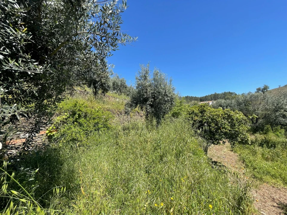 Moradia T3 para Venda em Vila Velha de Rodão Foto 102