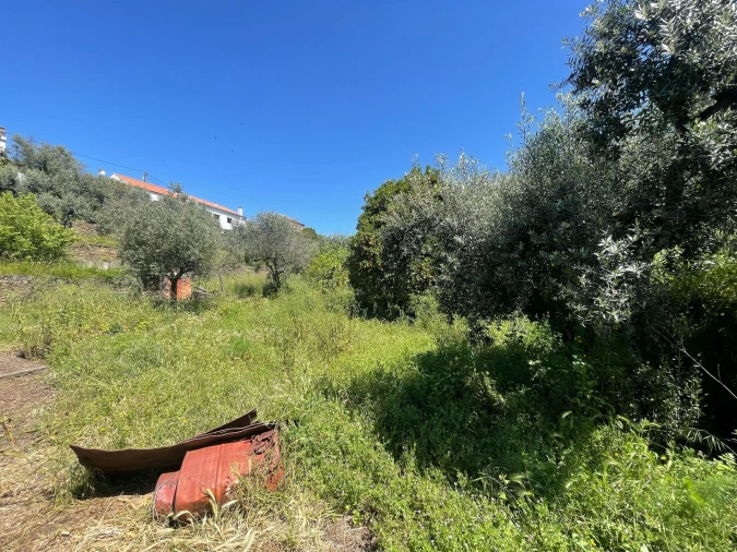 Moradia T3 para Venda em Vila Velha de Rodão Foto 115